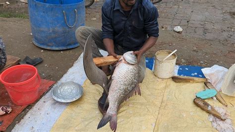 Amazing Cutting Skills Big Katla Fish Cutting In Bangladesh Fish