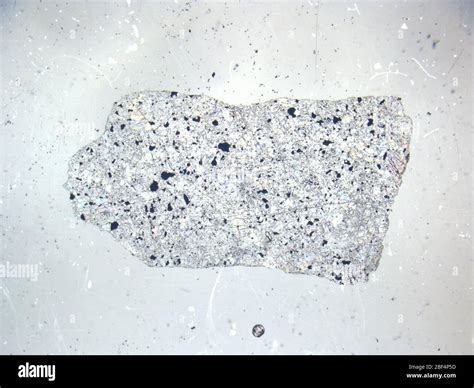 Micrograph Of Eet 920122 Meteorite Under Plane Polarized Light At 1