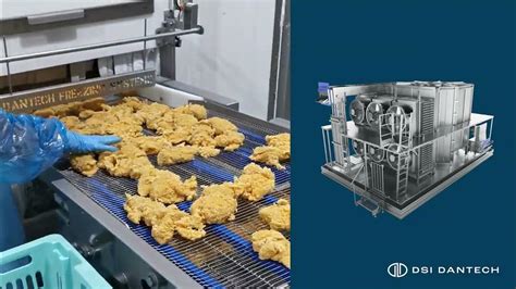 dsi dantech iqf mechanical spiral freezer  chicken nuggets alpha