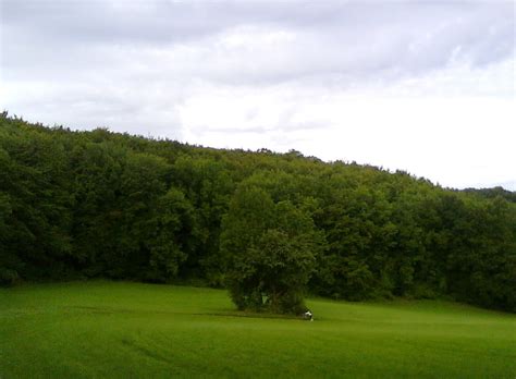 Mountainbike Mayerling Eisernes Tor Schutzhaus 834m Hoher Lindkogel