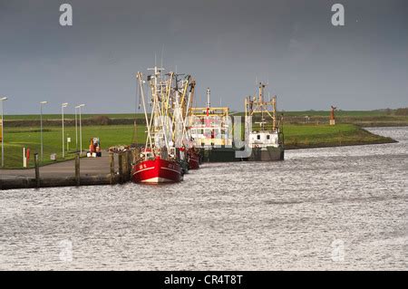 Deutschland Ostfriesland Greetsiel Hafen Promenade Tourist