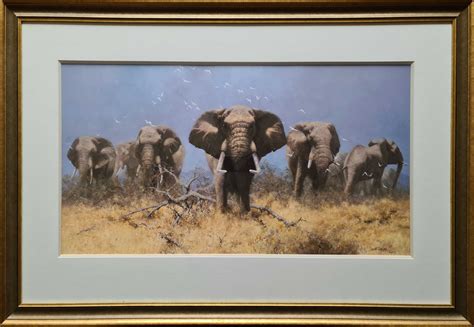 davidshepherd-justelephants