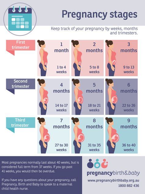 Pregnancy Chart 