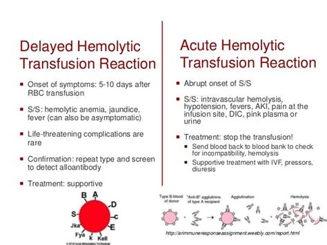 Transfusion Reaction