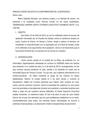 Amicus Curiae Solicita La Confirmaci N De La Sentencia Pdf