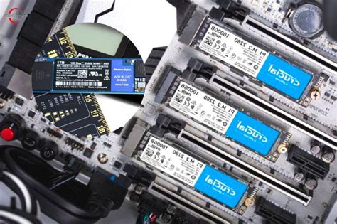 WD Blue SN550 Vs Crucial P1 Which SSD Should You Buy 2023 Memoright