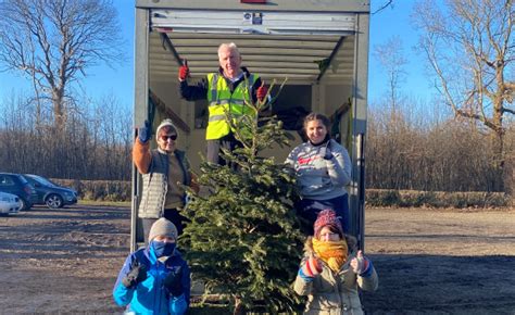 Christmas Tree Recycling 2024