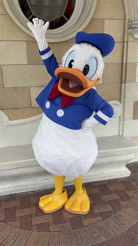 Happy Birthday Donald Duck | Disney Mouseketeer