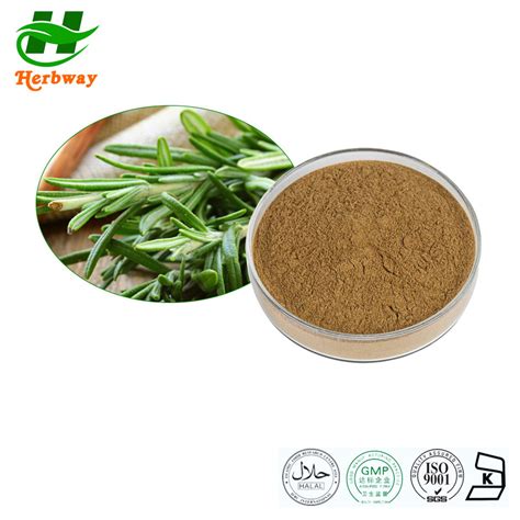 Herbway Natural 2 98 Carnosic Acid Ursolic Acid Rosmarinic Acid Rosemary Extract Powder