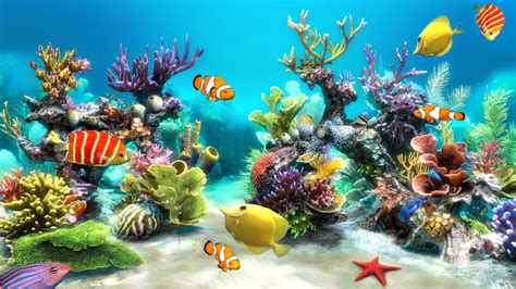 Aquarium Live Wallpaper Windows 10 | Aquarium live wallpaper, Fish ...