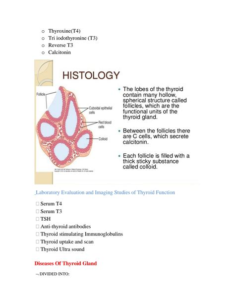 Solution Thyroid Gland And Disease Of Thyroid Gland Studypool