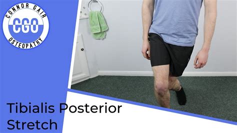 Tibialis Posterior Stretch Standing Youtube