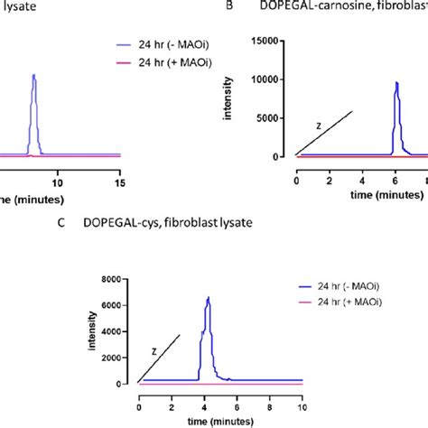 Dopegal And Dopal React With Carnosine And Or L Cysteine In A