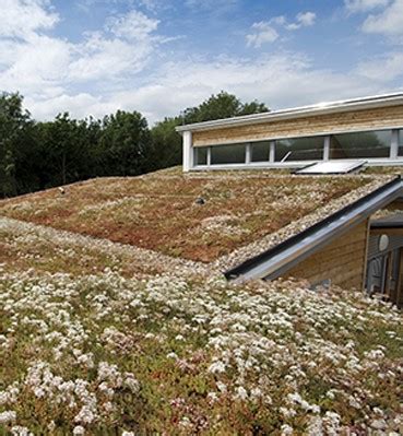 Green Roof Solutions Alumasc Roofing Systems