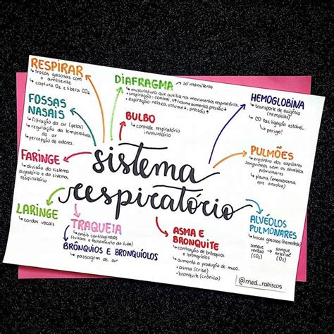 SISTEMA RESPIRATÓRIO Mapa mental Dicas de estudo escolar Resumos de