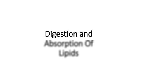 Solution Digestion Metabolism Of Lipids Studypool