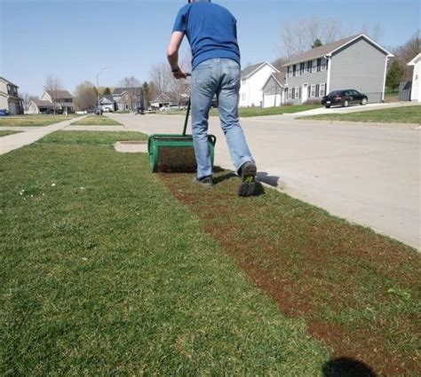 How To Overseed Your Lawn In Spring