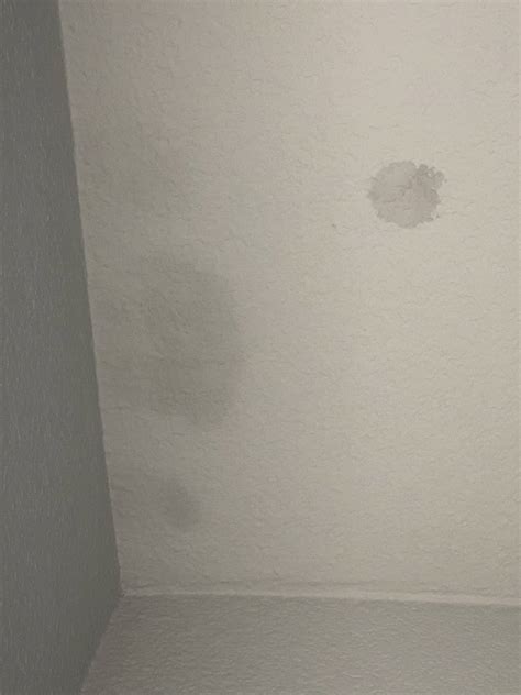 Mold Spots On Ceiling In Bedroom Psoriasisguru