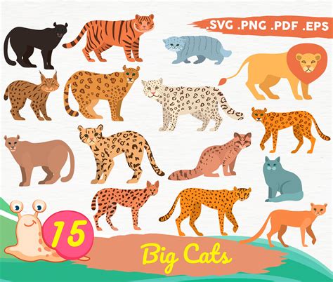 Big Cats Svg Cartoon Big Cats Clipart Exotic Cats Wildlife - Etsy UK