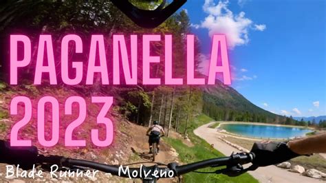 Paganella Bike Park Che Spettacolo Molveno Andalo Fai Zone Youtube