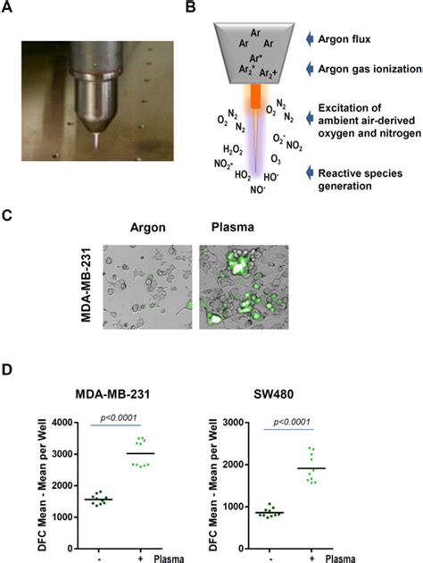 物理血浆触发的ROS裂解HSP90分子伴侣后诱导肿瘤细胞死亡 Scientific Reports X MOL