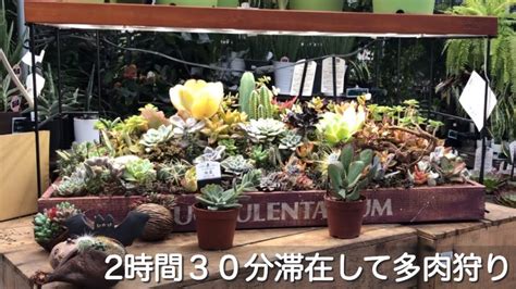 【多肉植物】2時間30分滞在して多肉狩りゴーゴーコーナン【succulent】 Youtube