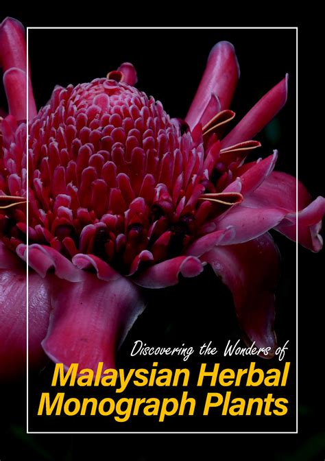 Discovering The Wonders Of Malaysian Herbal Monograph Plants Globinmed