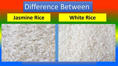 What Is The Difference Between Jasmine And Basmati Rice Off