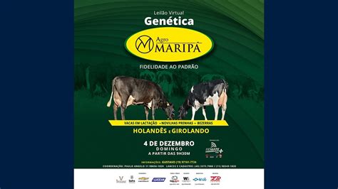 Leil O Virtual Gen Tica Agro Marip Remate Web Youtube