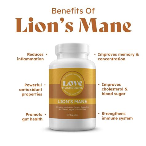 Lion S Mane Extract Capsules Vegan Organic Usa Made