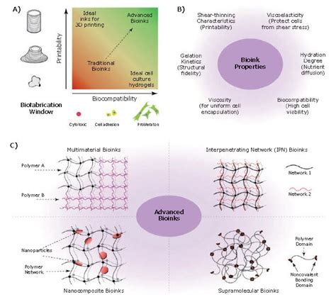 Three Dimensional Bioprinting For Tissue And Disease Modeling