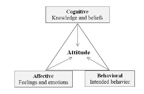 Triadic Model Components Of Attitudes Download Scientific Diagram