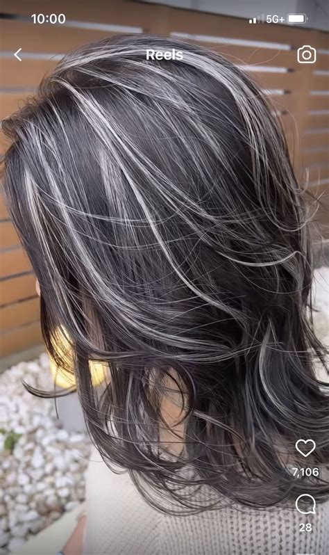 Hair Color For Black Hair Brunette Hair Color Black Hair With Silver Streak Grey Hair Streak