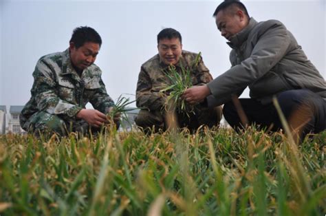 河南杞县：春耕春管正当时 不负农时不负春 中国网