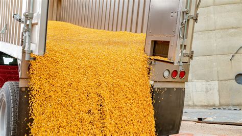 Corn Prices Continue To Rise - Mid-West Farm Report