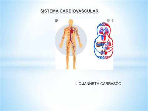 Sistema Cardiovascular Janneth Carrasco UDocz