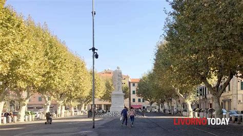 Livorno Sorpreso Con Involucri Di Cocaina E Un Coltello Arrestato