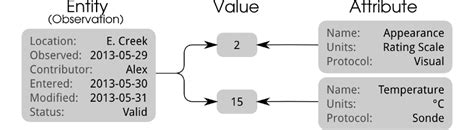 To Eav Or Not To Eav Choosing Your Data Model Wq Framework