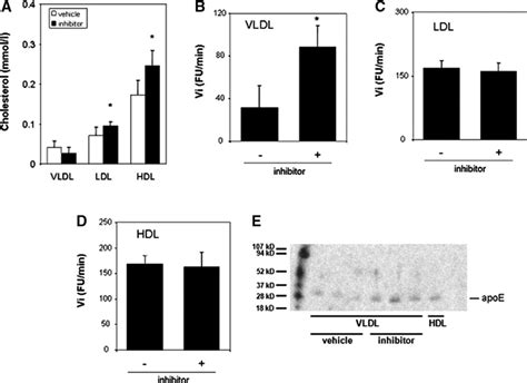 Expression Of Type Iia Secretory Phospholipase A Inhibits Cholesteryl