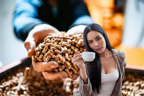 Du Marc De Caf Dans Votre Po Le A La D Couverte Des Pellets De