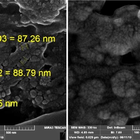 Scanning Electron Micrograph Image Of Nano Chitosan Showed Proper