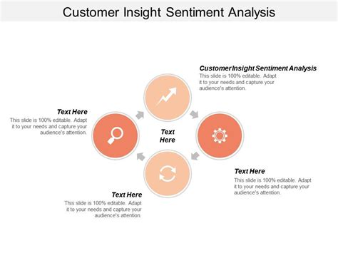 Customer Insight Sentiment Analysis Ppt Powerpoint Presentation File