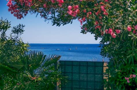 Premium Photo | View from cinque terre terrace