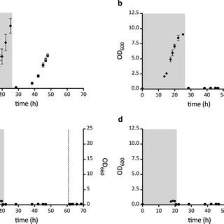 Anaerobic Growth Curves Of S Cerevisiae Strains Expressing Genes