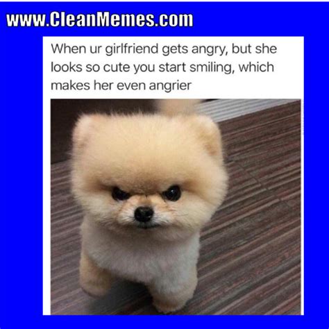 Clean Dog Memes For Kids