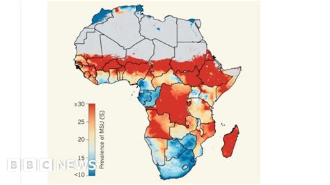 Africa Set To Miss Un Development Goal On Malnutrition Bbc News