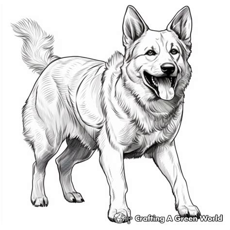 Realistic German Shepherd Coloring Pages Free Printable