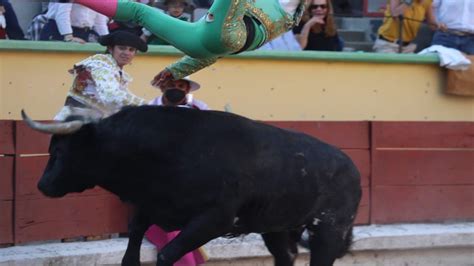 Tauromaquia Mexicana El Heraldo De México