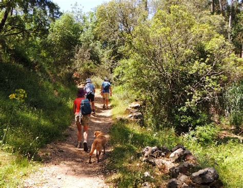 Aww Its Too Darn Hot Its Too Darn Hot A Very Warm Walk From Alportel