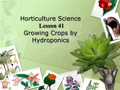 Horticulture Science